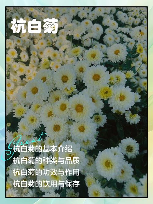 常见误区与纠正