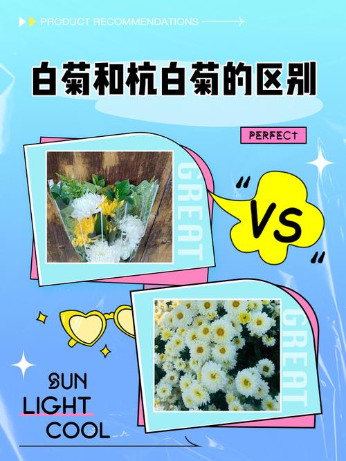常见问题FAQ