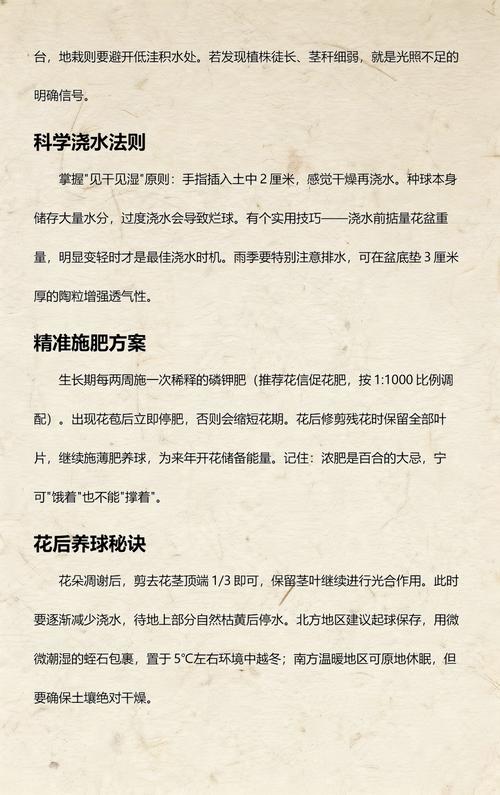 百合种球怎么栽种?一份详细的关键步骤指南 二、土壤环境要求