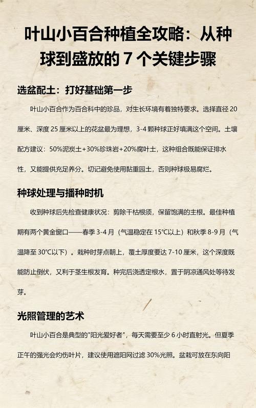 百合种球怎么栽种?一份详细的关键步骤指南 四、栽植深度控制
