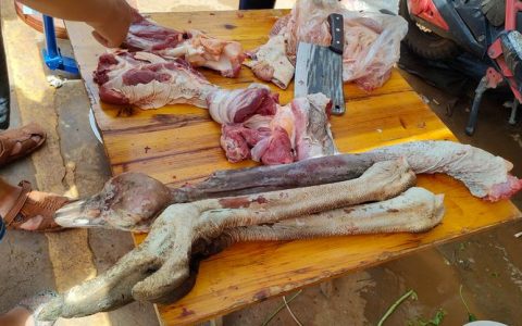 驼鸟肉价格是多少？规格、产地、季节影响报价