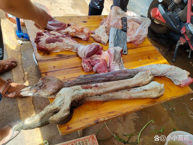 驼鸟肉价格是多少?规格、产地、季节影响报价 驼鸟肉价格是多少?规格、产地、季节影响报价