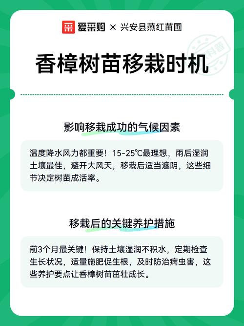 香樟树移栽技术指南:从选时到成活的7个关键步骤 浇定根水