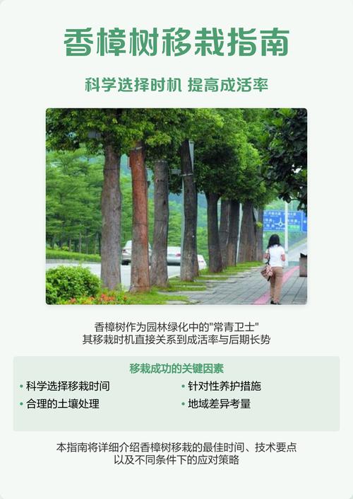 香樟树移栽技术指南:从选时到成活的7个关键步骤 总结