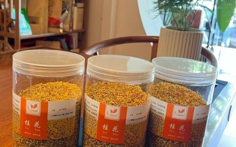 桂花树能做什么？探秘桂花树的多种用途与价值