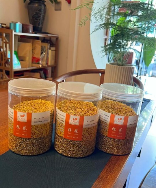 桂花树能做什么？探秘桂花树的多种用途与价值