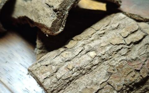 杜仲价格多少钱一公斤？规格、产地、采购量影响报价