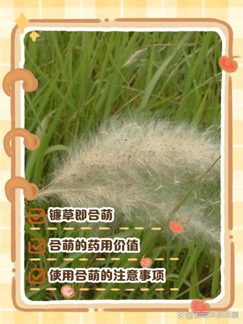 第四步：运输与检疫合规