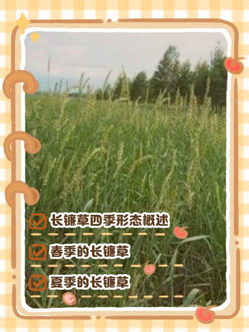 综合评估结论