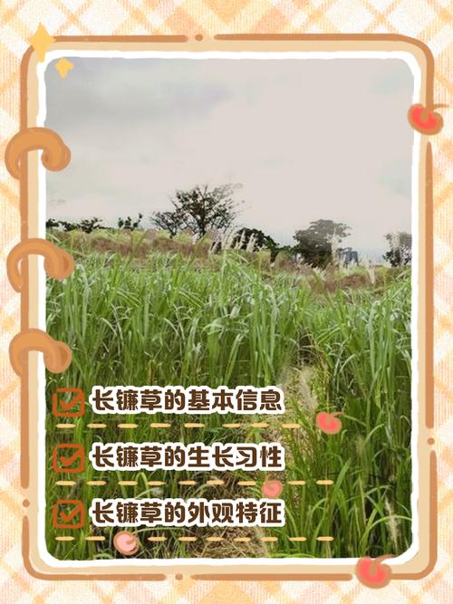 第五步：售后保障与书面约定