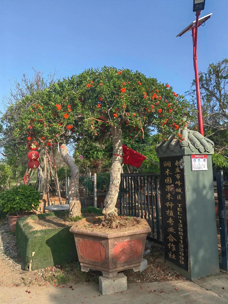 四、结语