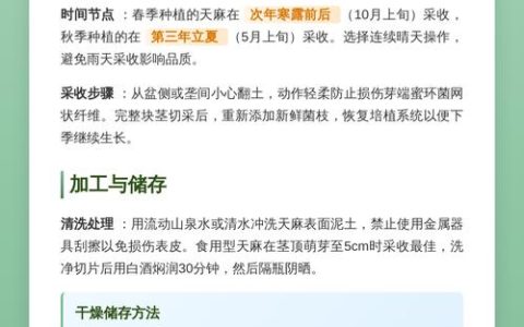天麻种植技术全指南：从选时到成活的七个关键步骤