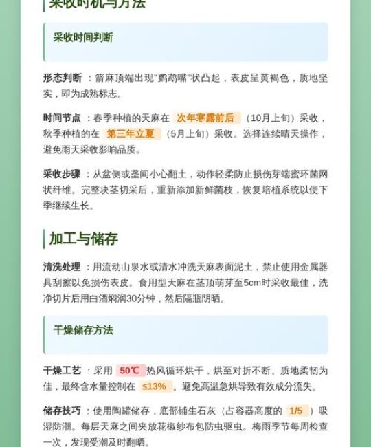 天麻种植技术全指南：从选时到成活的七个关键步骤
