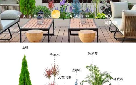 露天阳台绿植推荐：5种皮实好养的盆栽方案与养护指南