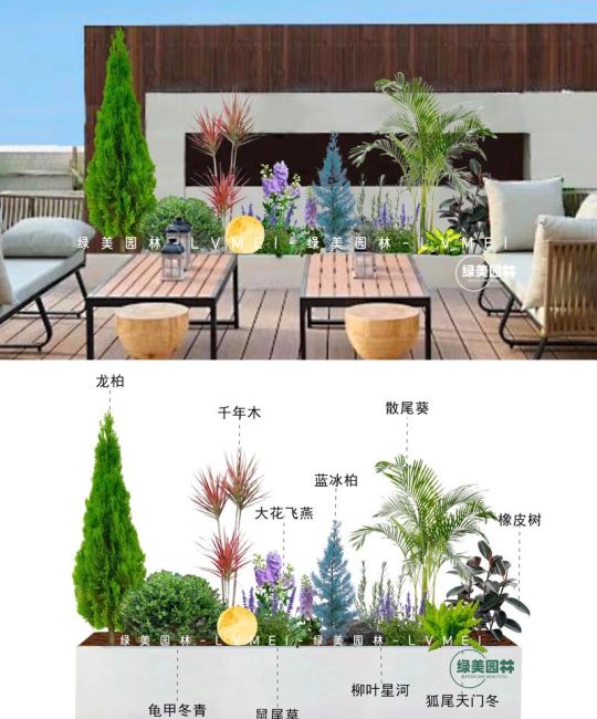 露天阳台绿植推荐：5种皮实好养的盆栽方案与养护指南