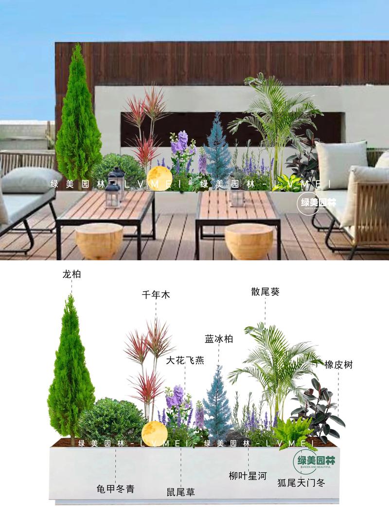 露天阳台绿植推荐:5种皮实好养的盆栽方案与养护指南 露天阳台的环境特点与选苗原则