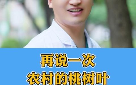 桃树叶的功效与禁忌：是药不是菜，食用需谨慎