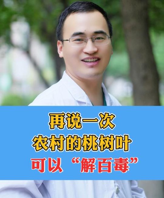 桃树叶的功效与禁忌：是药不是菜，食用需谨慎