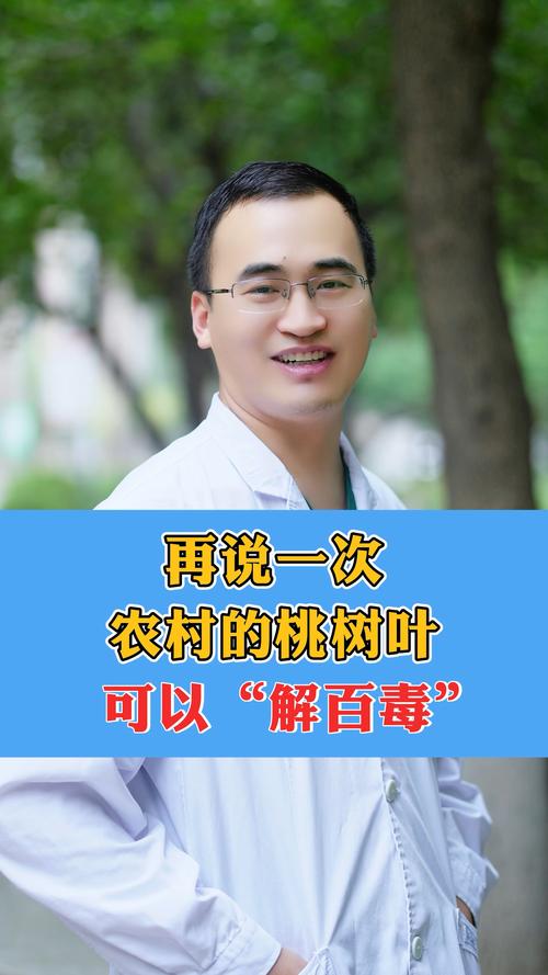 桃树叶的功效与禁忌:是药不是菜,食用需谨慎 食用常识:非食物,慎用茶饮