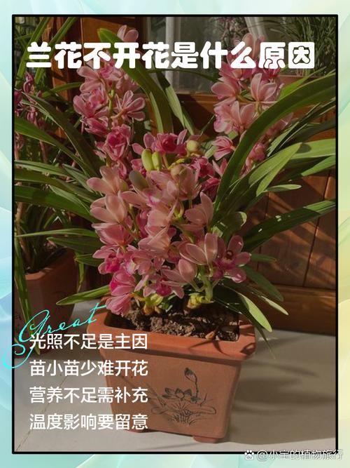 处理办法