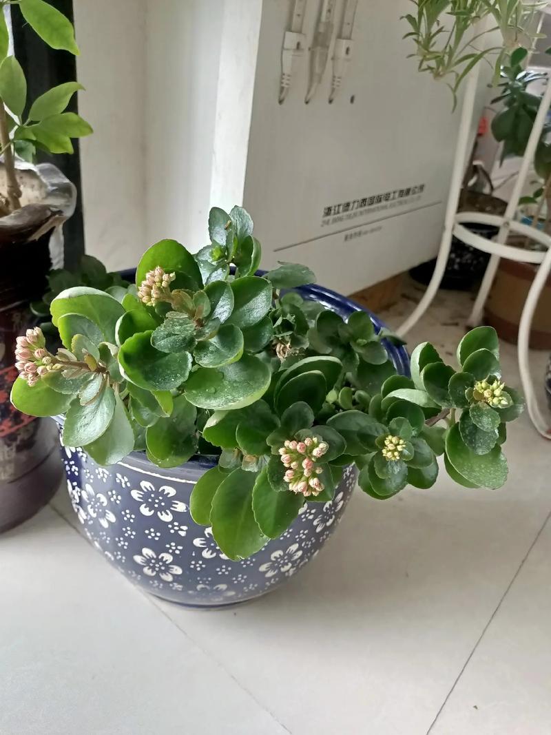 排查步骤