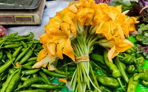 有花的蔬菜叫什么？黄花菜——兼具观赏与食用的金针菜