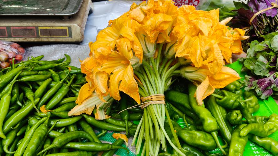 有花的蔬菜叫什么?黄花菜——兼具观赏与食用的金针菜 有花的蔬菜叫什么?黄花菜——兼具观赏与食用的金针菜