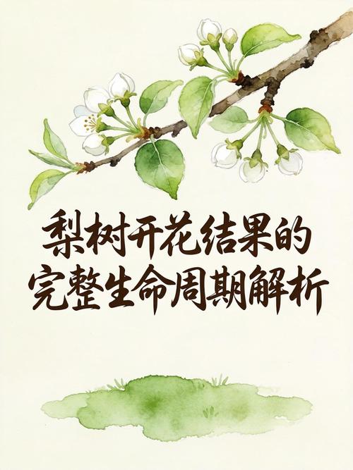 梦到梨树开花了什么预兆?详解梨树花期与养护指南 梨树不开花不结果常见原因与解决