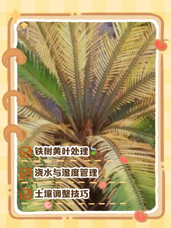 铁树叶子发黄怎么办?专家教你从四大原因入手排查与解决 预防建议
