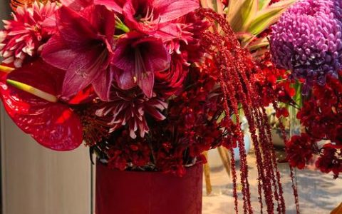 春节插花用什么花？这些花材让年味更浓、寓意更美