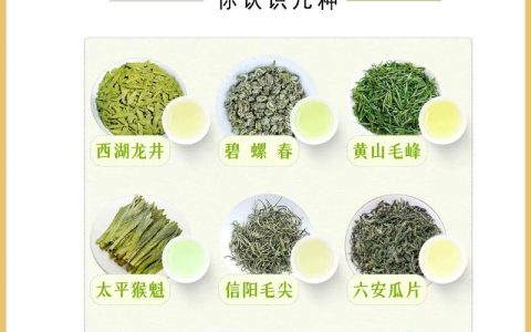 绿茶包括哪些茶种？四大工艺分类详解及优质品种推荐