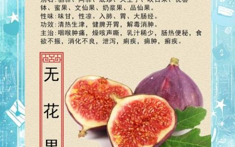 门清无花果价格参考区间与五大影响因素详解（2026年）