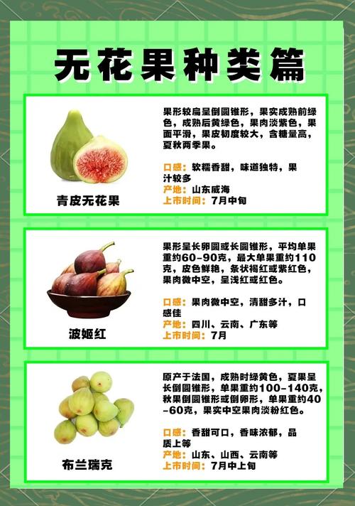 产地维度对价格的影响