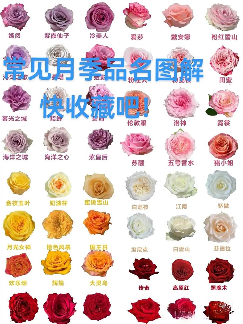 总结