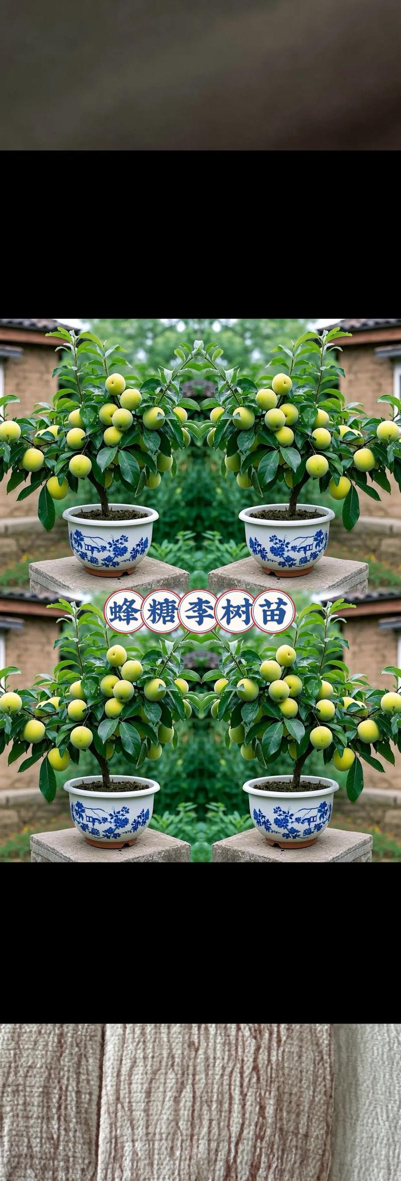 李苗多少钱一棵?2024年价格参考与影响因素详解 FAQ:常见问题速答