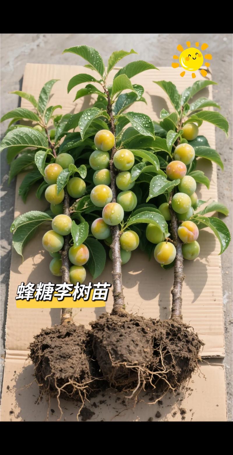 李苗多少钱一棵?2024年价格参考与影响因素详解 咨询指南:获取您的专属报价