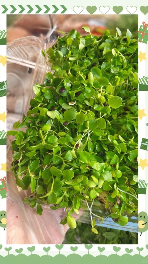 5种家常吃法：从快手到经典