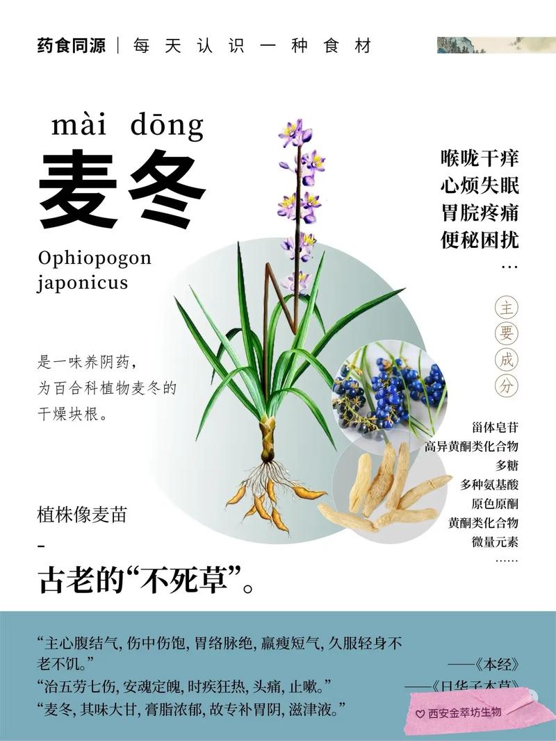 黑麦草冬天会冻死吗?耐寒性分析与南北越冬养护指南 总结