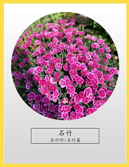 六、FAQ（常见问题）
