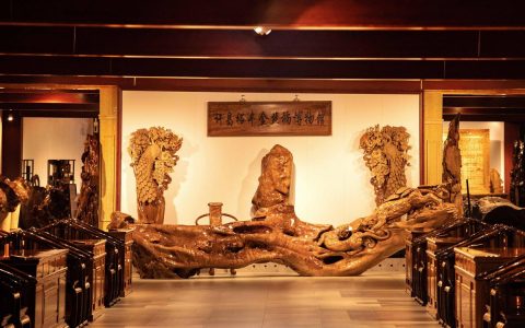 中国最大的金丝楠木在哪里？——探寻“木中黄金”的园艺传奇