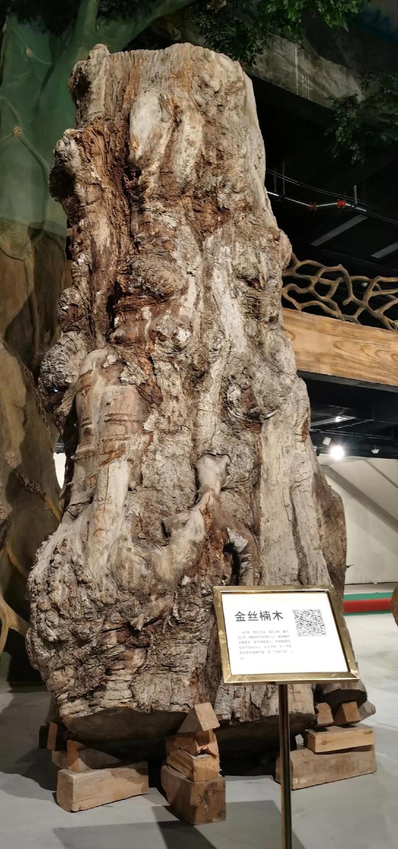 对园艺爱好者的启示