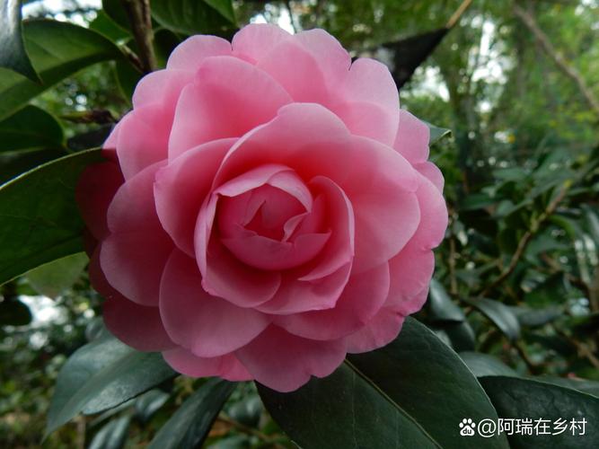 光照与水肥精准方案