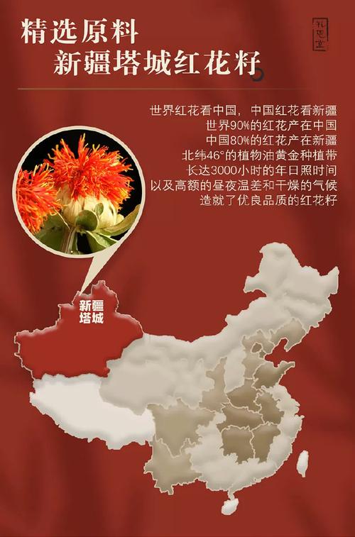 咨询指南