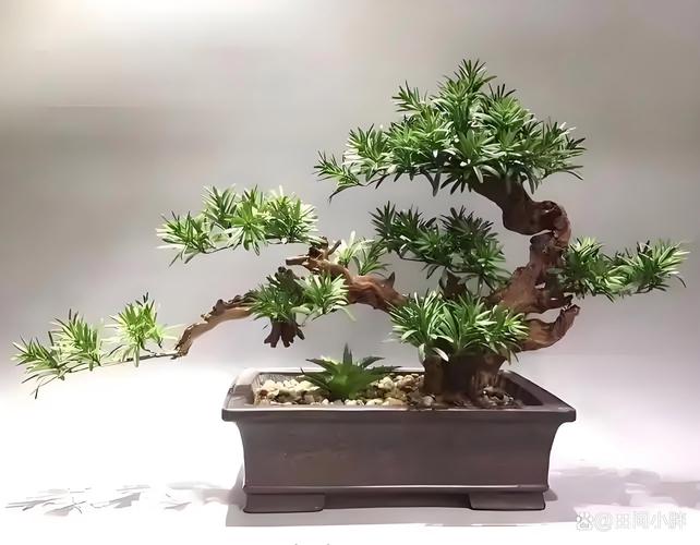 五、替代方案建议