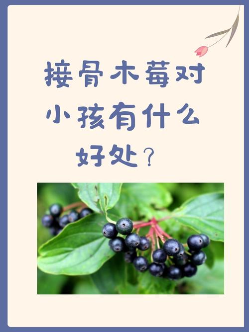 结语