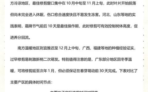 柿子树什么时候修剪最好？全年养护与修剪全攻略