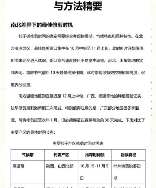 柿子树什么时候修剪最好？全年养护与修剪全攻略