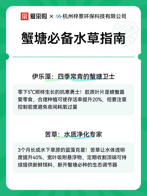 种植操作与时间安排