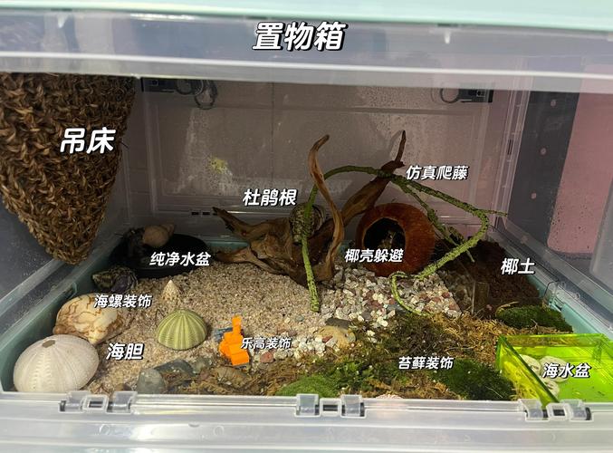 常见问题 FAQ