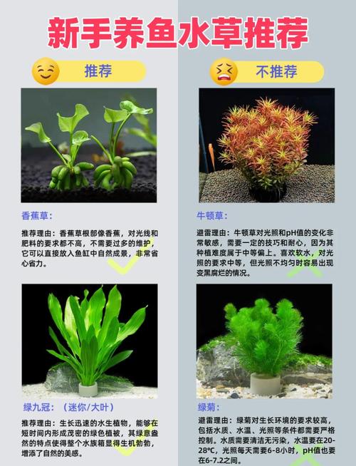 总结